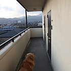 多くの場所で活躍する監視カメラのイメージ画像